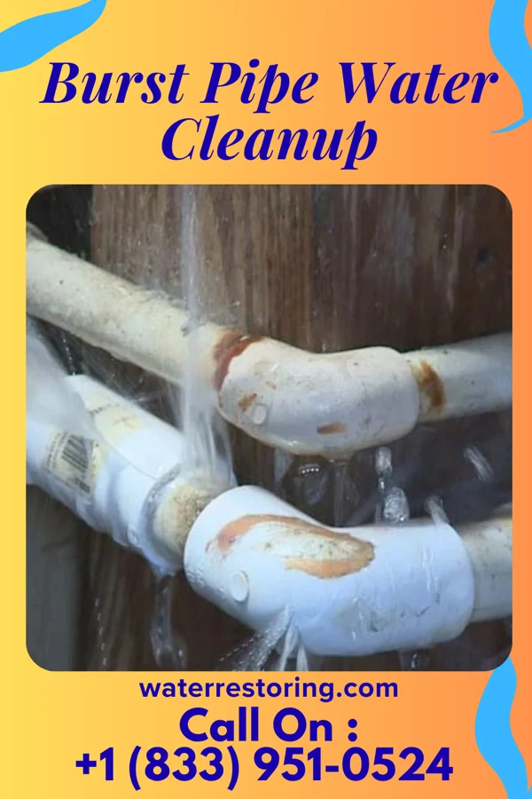 Burst Pipe Water Cleanup in University Gardens, NY