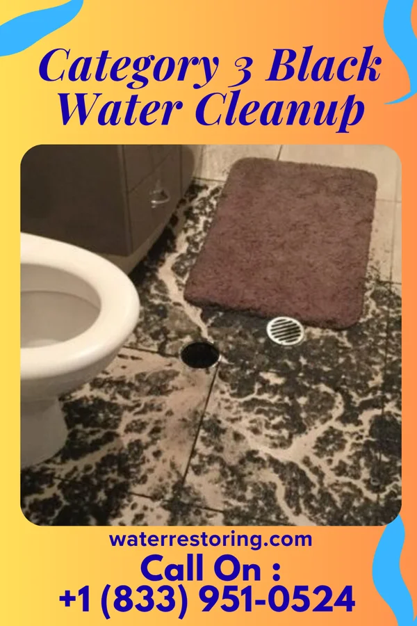 Category 3 Black Water Cleanup in University Gardens, NY