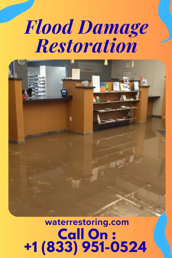 Flood Damage Restoration in University Gardens, NY