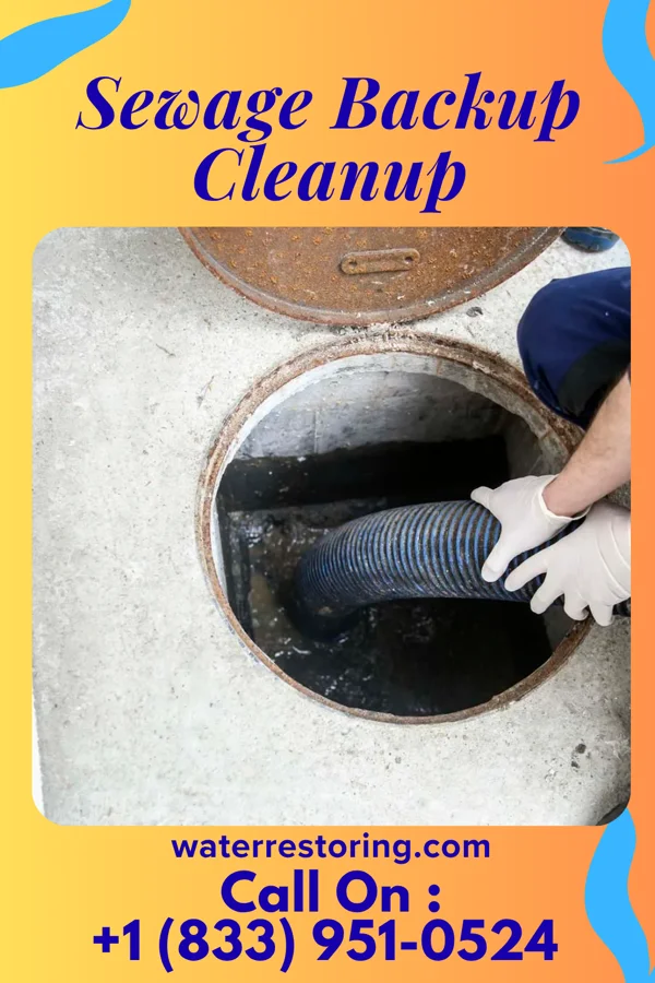 Sewage Backup Cleanup in University Gardens, NY
