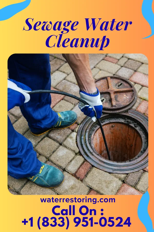 Sewage Water Cleanup in University Gardens, NY