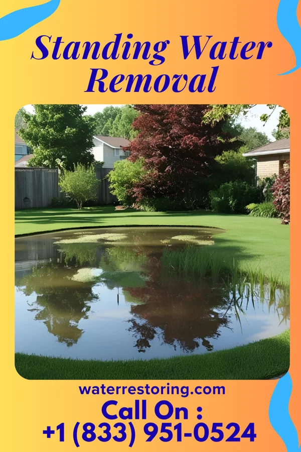 Standing Water Removal in University Gardens, NY